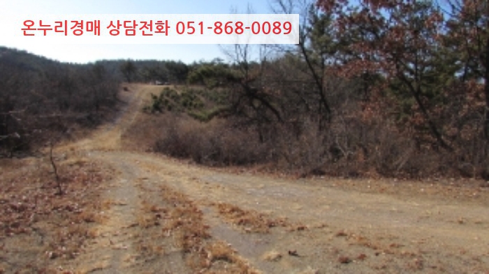 초곡리1 이미지