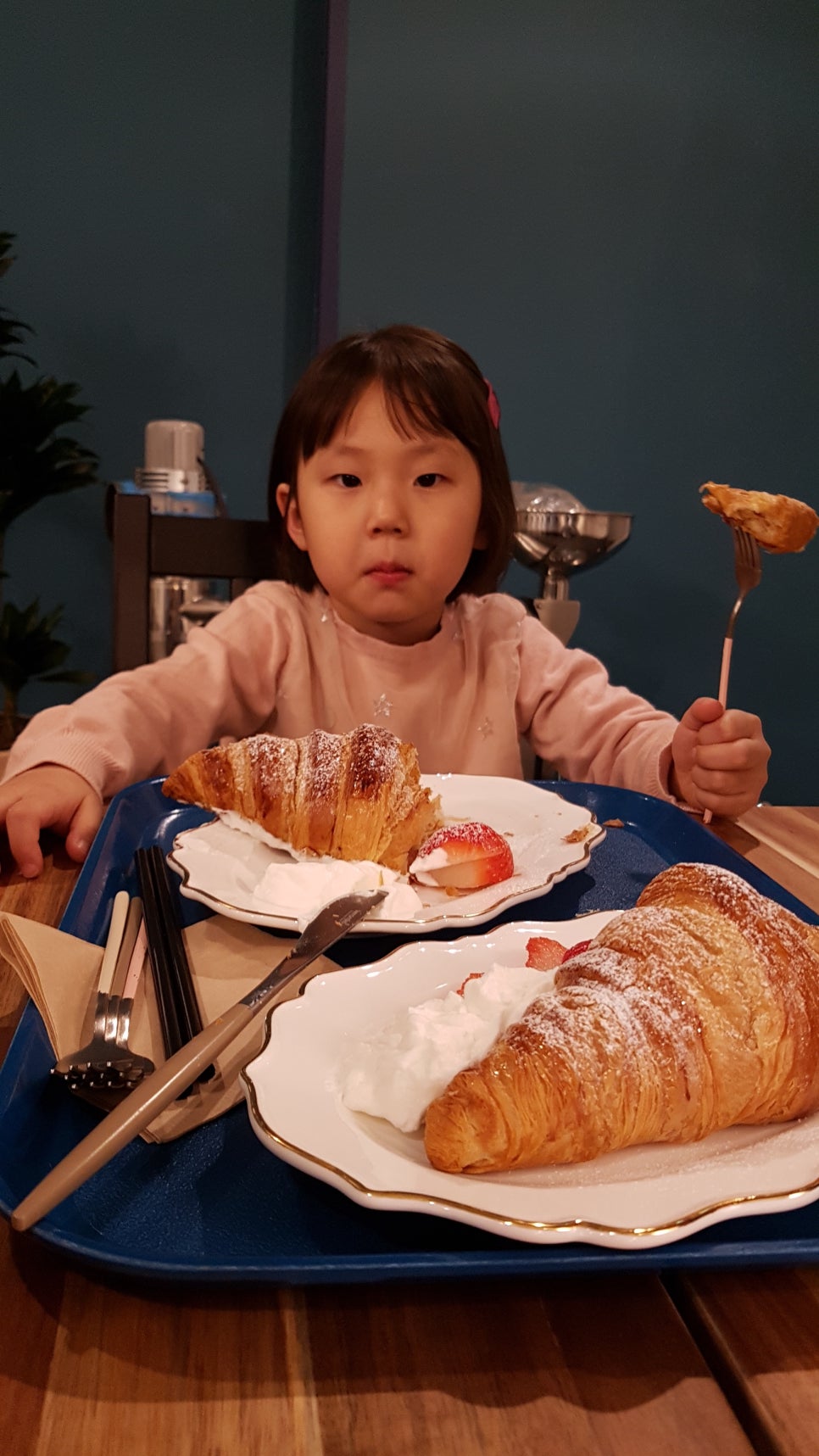 에를레프니스 이미지