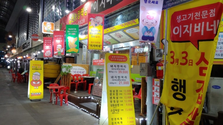 이지비네 이미지