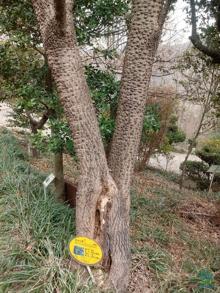 자굴산치유수목원 이미지