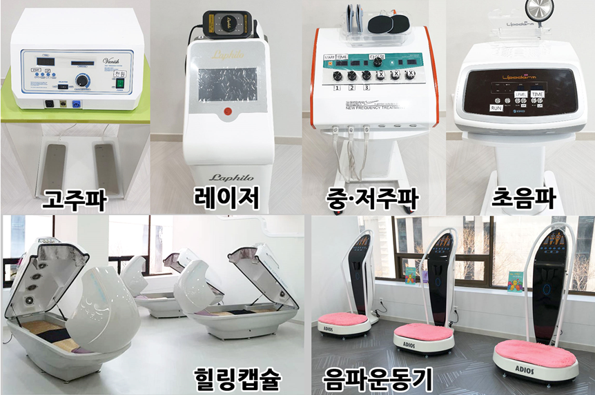 셀다 이미지