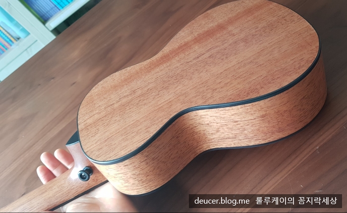 본스트링 이미지