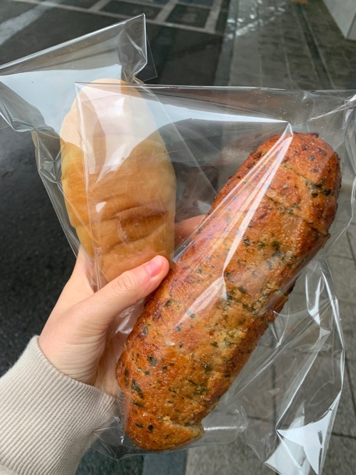 파니피카 이미지
