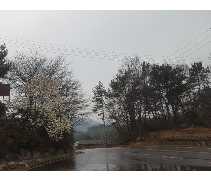 오두막빵굼터 이미지