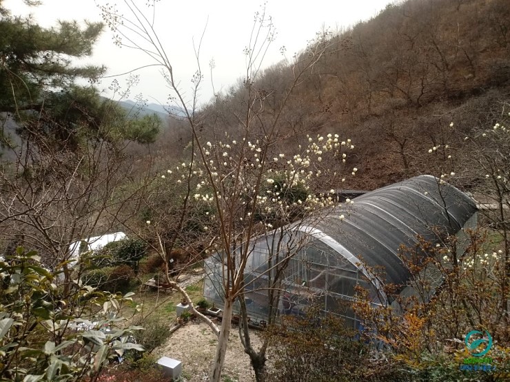 자굴산치유수목원 이미지