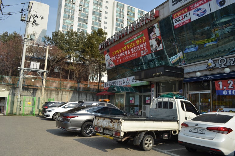 월수금 통돼지 김치찌개 이미지