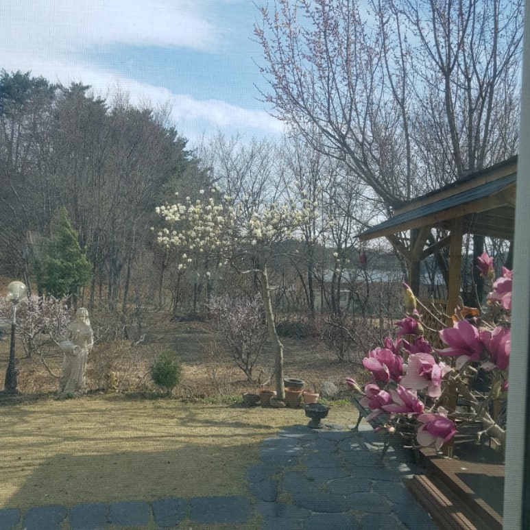 목련집 이미지