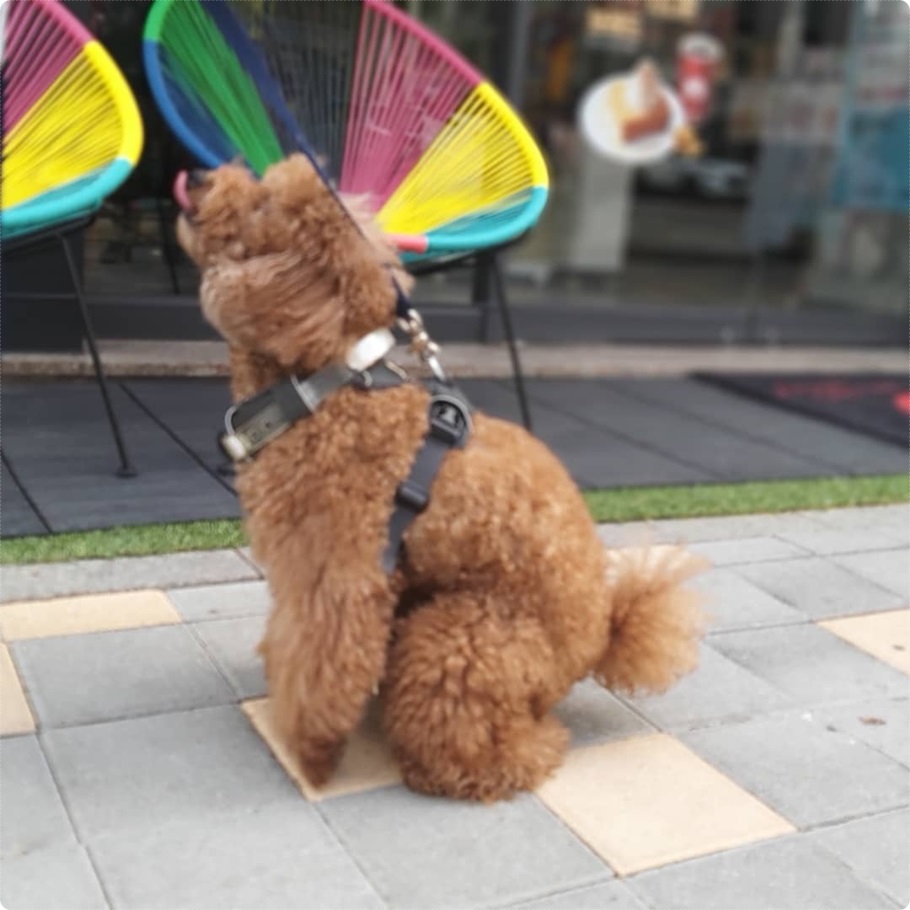 가도커피 이미지