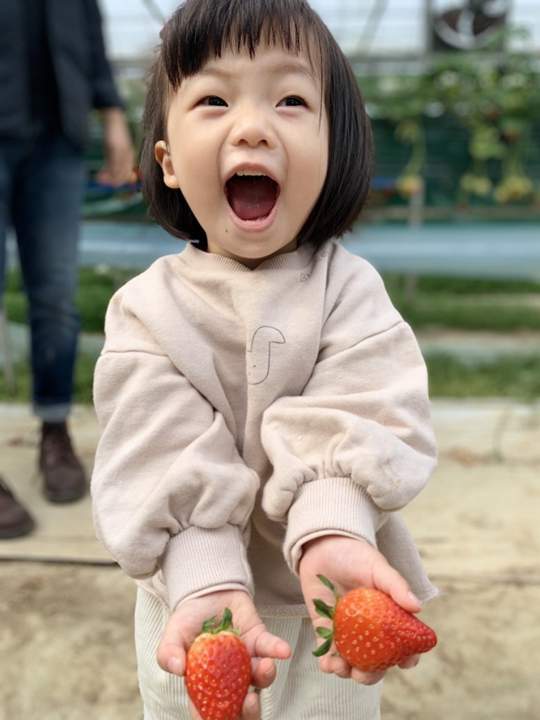 이슬농원 이미지