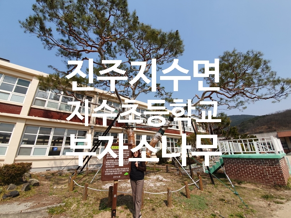 부자반점 이미지
