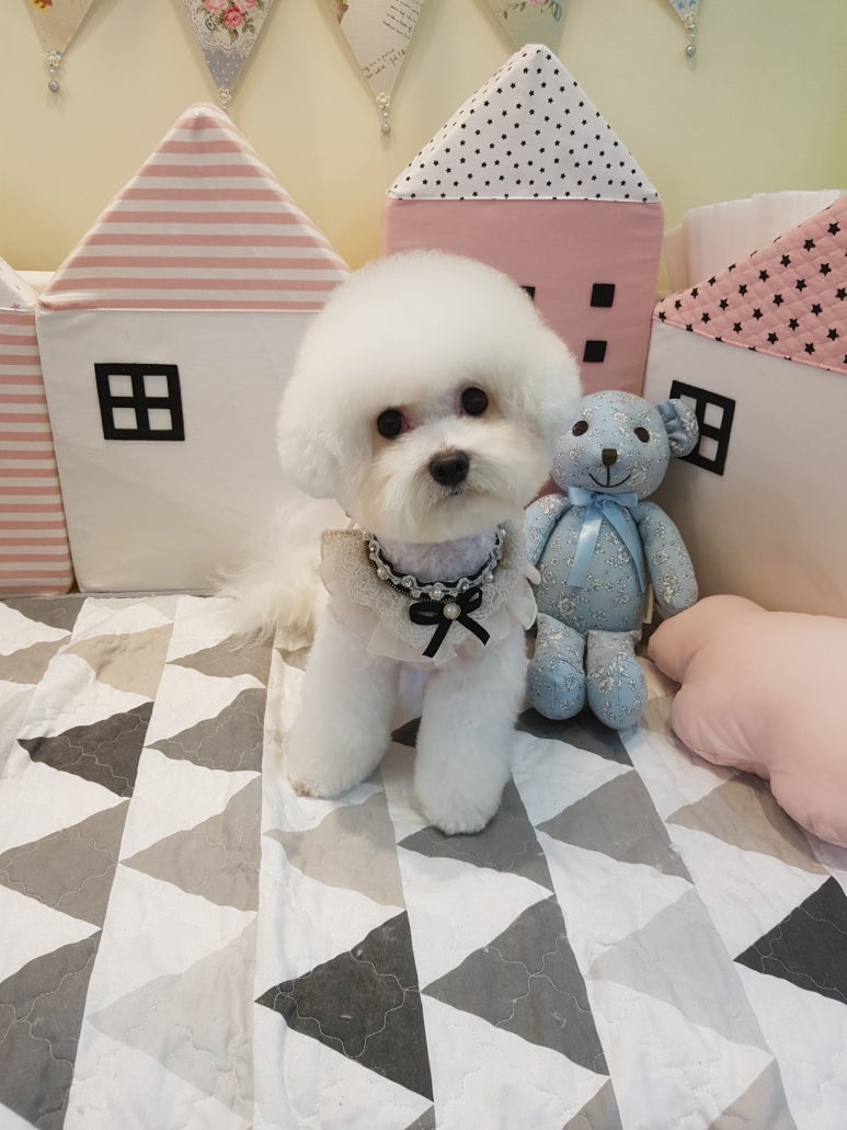 문정미용타운 이미지