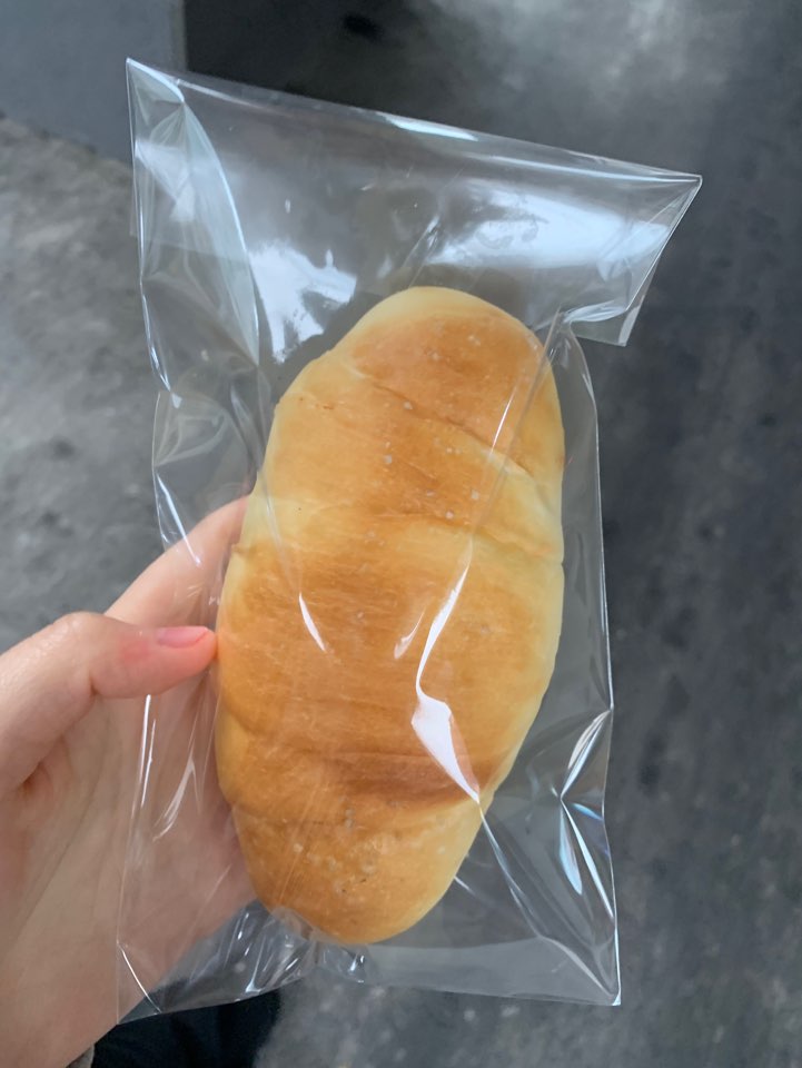 파니피카 이미지
