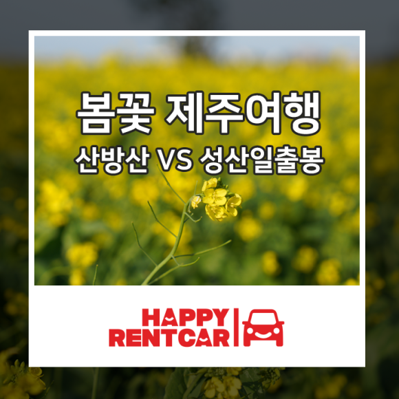 성산렌트카주 이미지