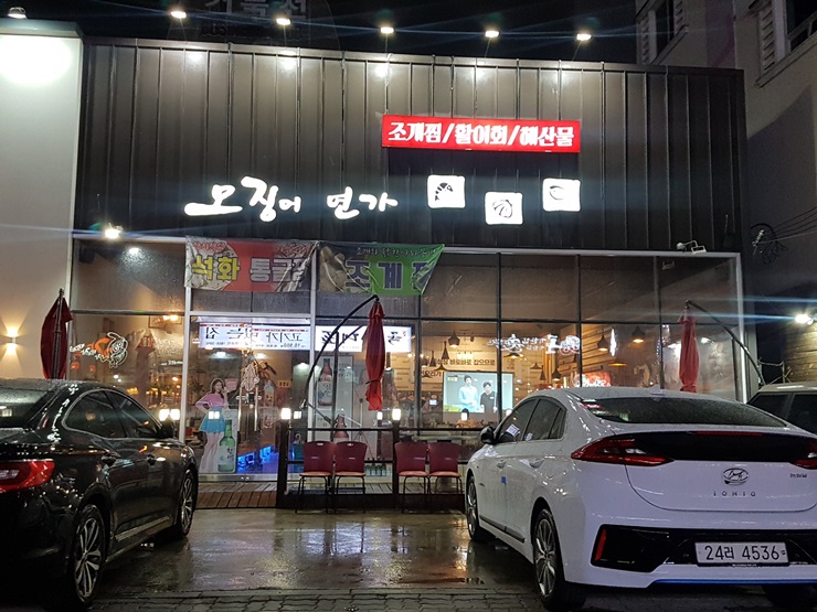 오징어연가 이미지