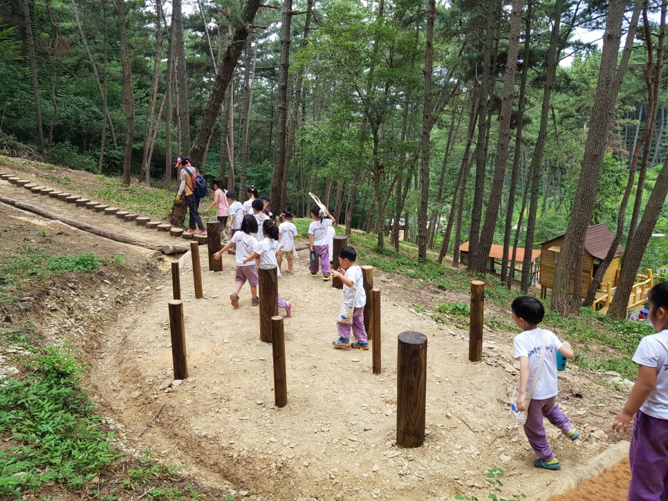 금마 서동공원 유아숲체험원 이미지