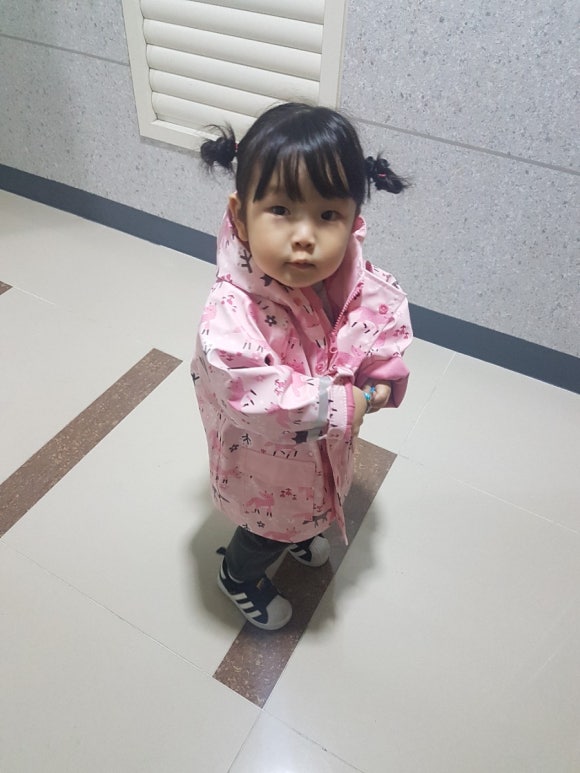 헤즈비 이미지