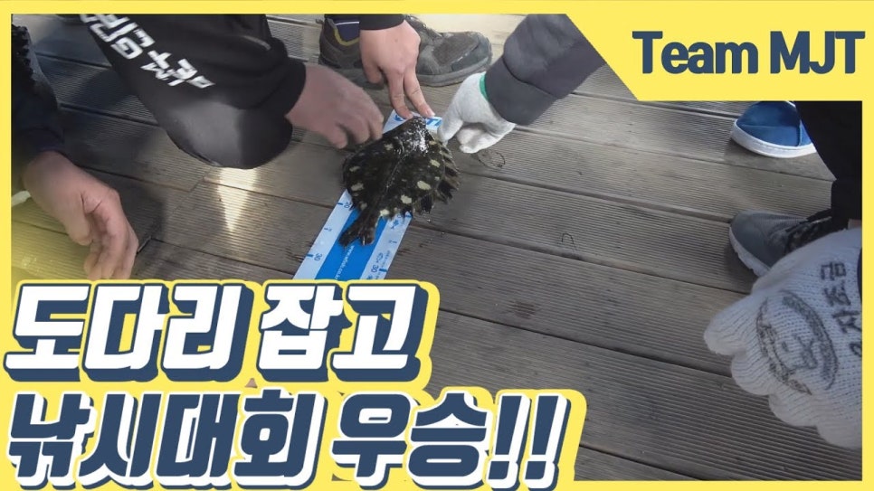 엠제이티 이미지