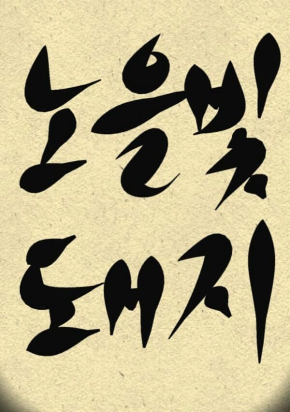 노을빛돼지 이미지