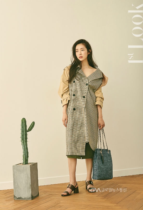 포멜카멜레 이미지
