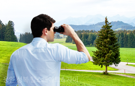 블루자이 이미지