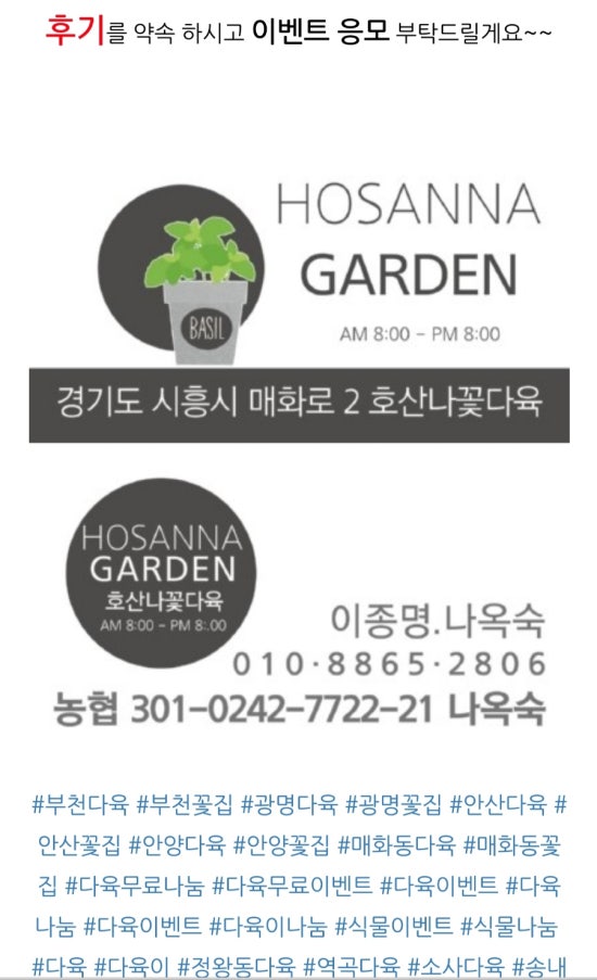 호산나꽃다육 이미지