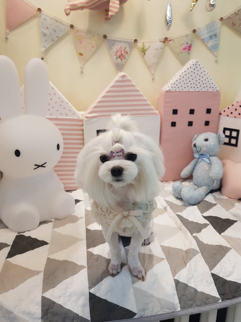 문정미용타운 이미지