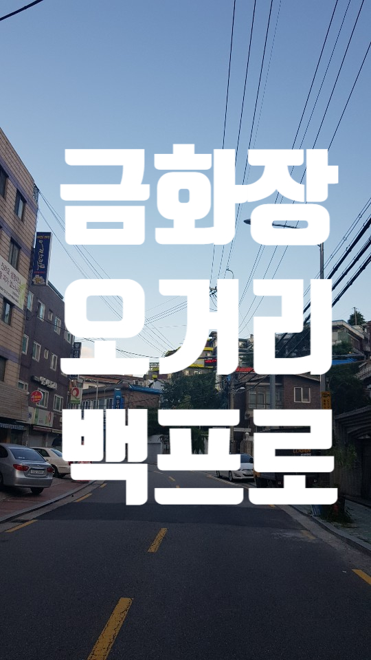 금화장 이미지