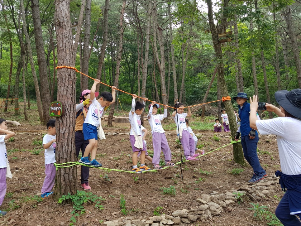 금마 서동공원 유아숲체험원 이미지