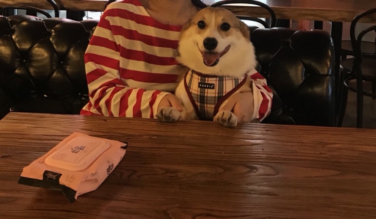 복자카페 이미지