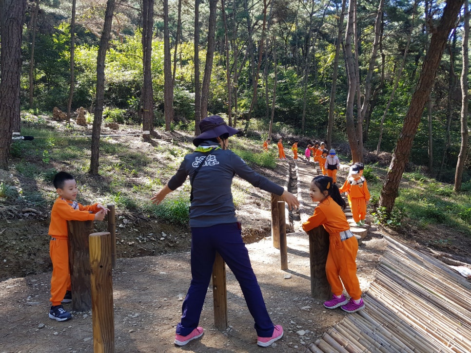 웅포 곰돌이 유아숲체험원 이미지