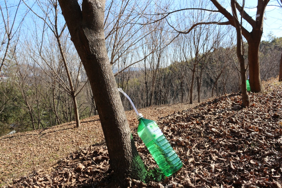심광택 이미지