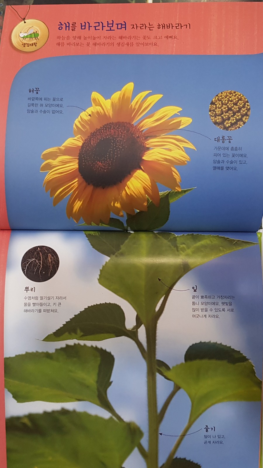 해바라기북스 이미지