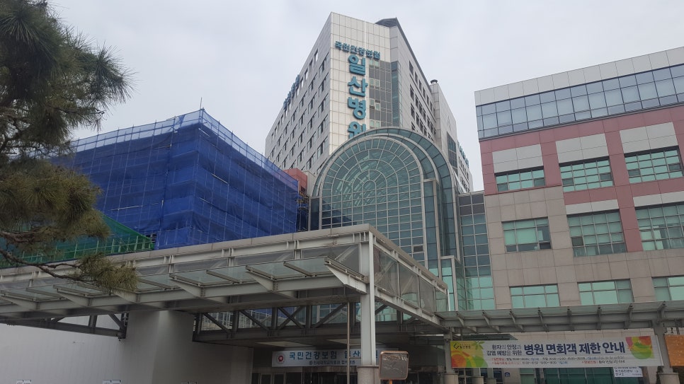 한국보바스협회 이미지