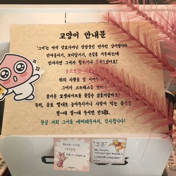 말그미옥상 이미지