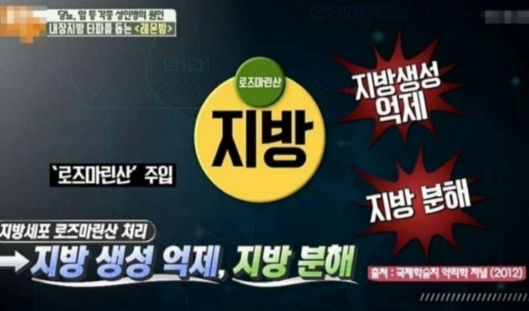 디에스에이 이미지
