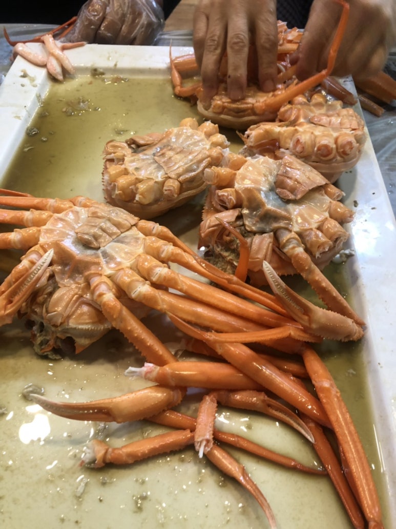 오이소 홍게 무한리필 이미지