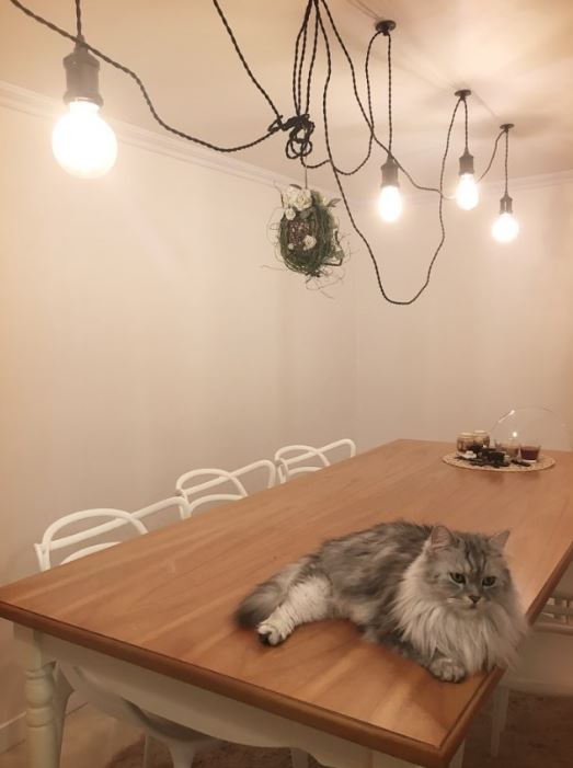 마스터인테리어 이미지