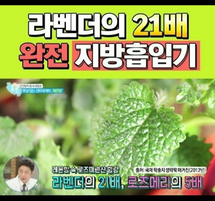 디에스에이 이미지