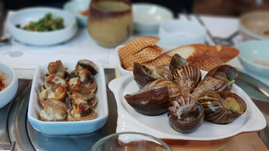 꼬꼬식당 이미지
