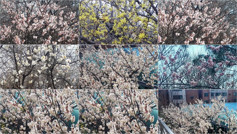 강북삼성병원 직원식당 이미지