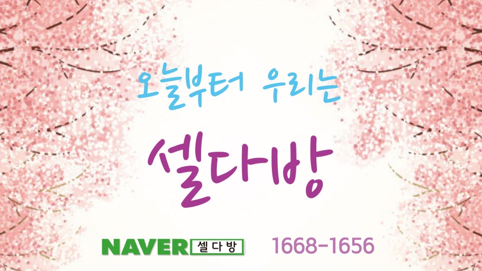 셀다 이미지