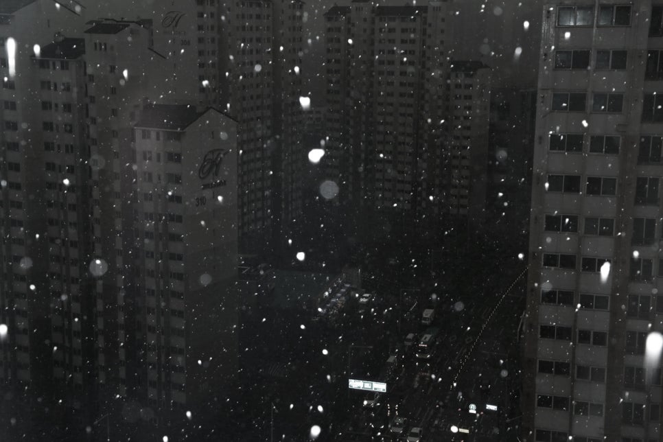 천지노래주점 이미지