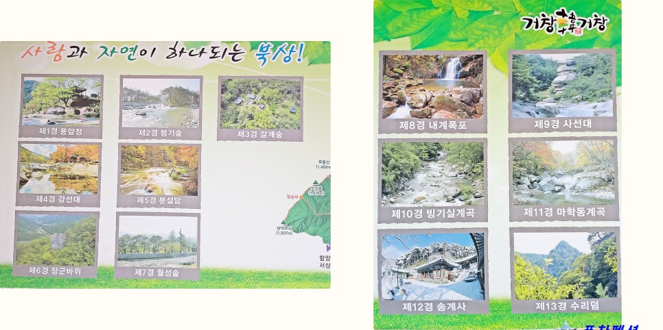 월성농산 이미지