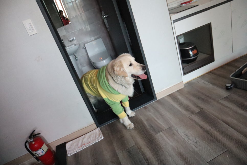 더마루디자인 이미지