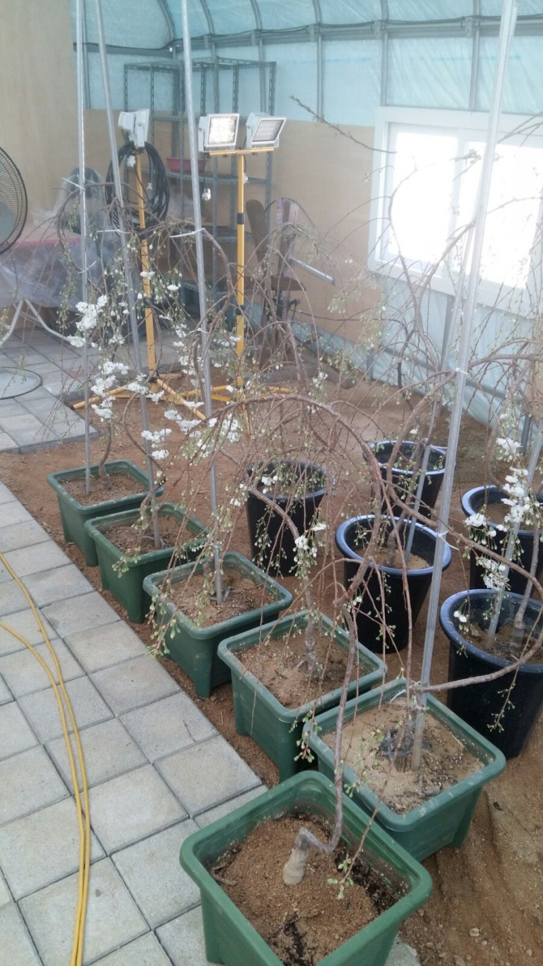 수양미용실 이미지