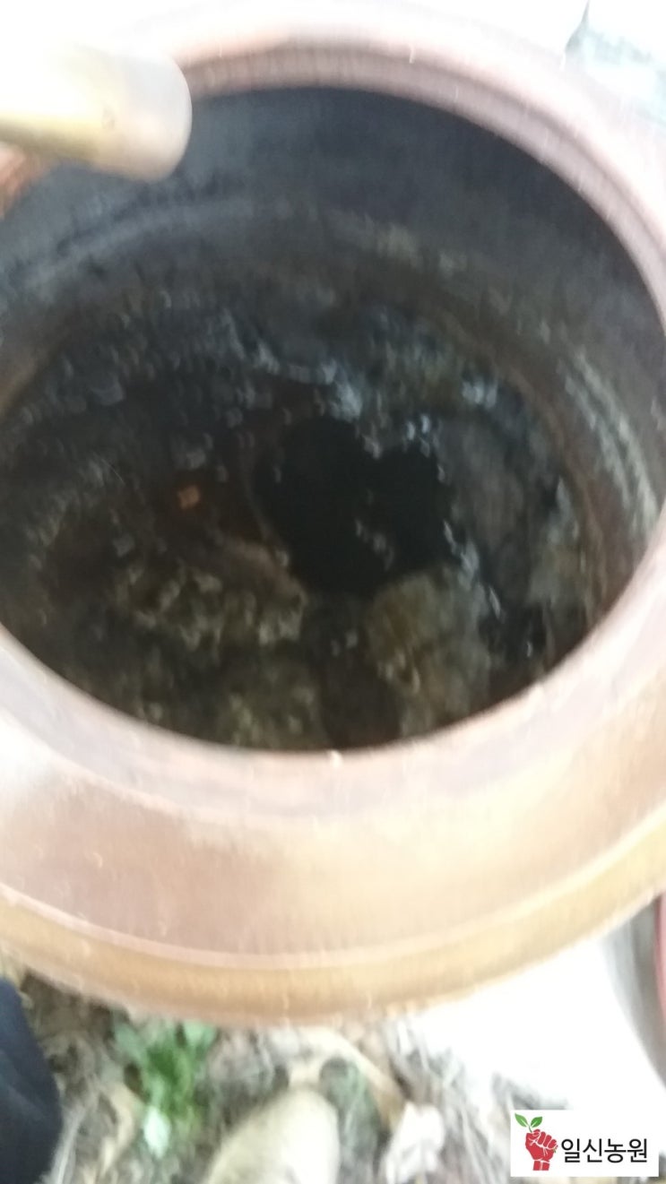 일신식품 이미지