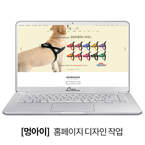 쁘띠콩 이미지