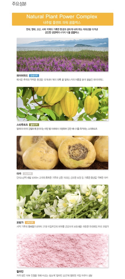샘이나는피부 이미지