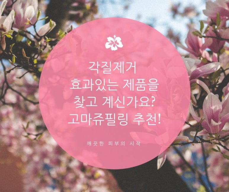 제이부띠 이미지