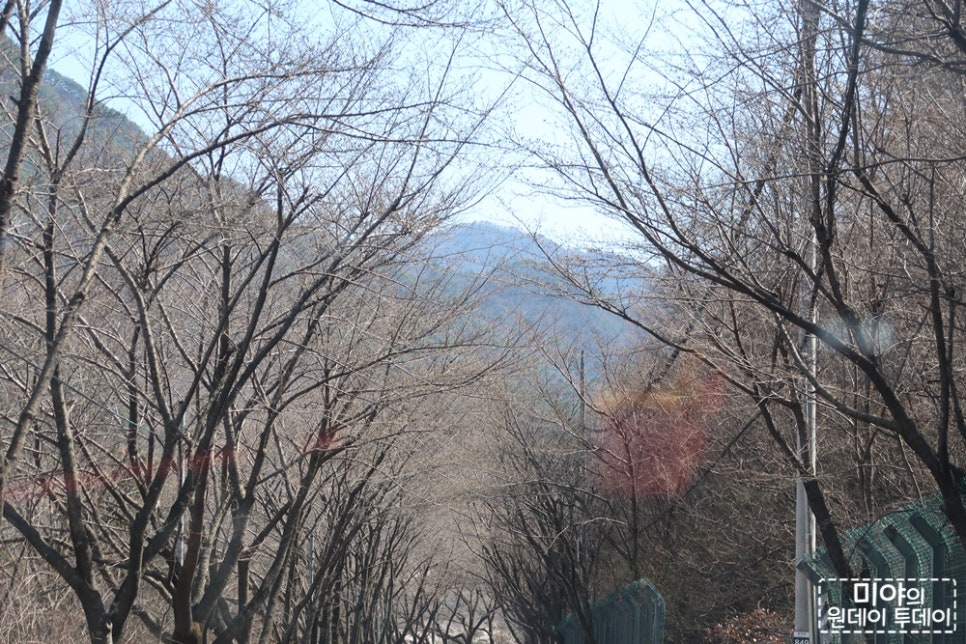 미야가끔 이미지